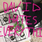 David Hates Everything
