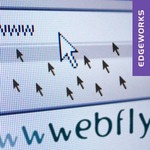 Webflyblog