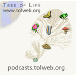 Exploring Arizona Life Science Research and Biodiversity with the Tree of Life Web Project