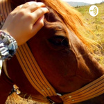 مفعول مطلق اسرا