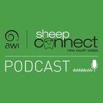 Sheep Connect NSW Podcast