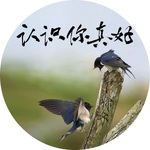 认识你真好