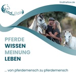 find the flow ... von pferdemensch zu pferdemensch