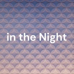 いざない in the Night
