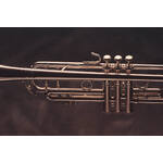 Shawn Thunder Wallace, Presentations