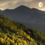 Nursing School Lectures