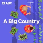 A Big Country