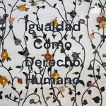 Igualdad Como Derecho Humano