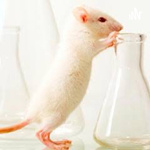 Ética e Pesquisa Científica 🧬🧪