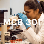 MCB 301