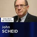 Religion, institutions et société de la Rome antique - John Scheid