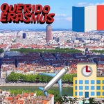 Querido Erasmus
