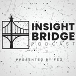FEG Insight Bridge