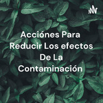 Acciónes Para Reducir Los efectos De La Contaminación 