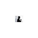 The New Adventures of Sherlock Holmes