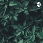 Enfermería: Salud Sexual Y Reproductiva