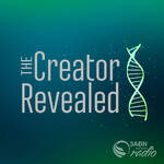 The Creator Revealed