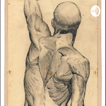 Anatomía en pañales