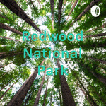 Redwood National Park