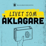 Livet som åklagare