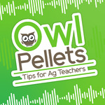 Owl Pellets: Tips for Ag Teachers