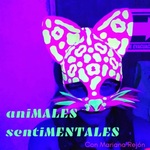 Animales Sentimentales