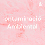 Contaminación Ambiental