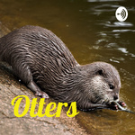Otters 