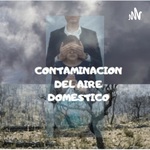 Comtaminacion Del Aire Domestico