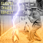FLORES PARA ERNEST