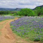 Teaching Band in Small Town Texas