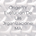 Origen Y Evolución De Las Organizaciones MA