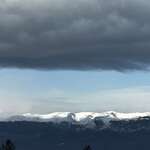 THE BRIEF by Maya Plentz