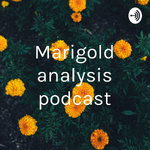 Marigold analysis podcast