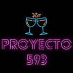 Proyecto 593 Es