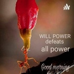 Morning Motion