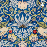 Evolucion - Trabajo IPARM