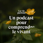 La vie partout