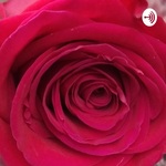 Flowers From Zahara