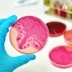 ENFERMEDADES INFECCIOSAS 