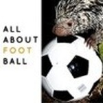 All About Football Podcast