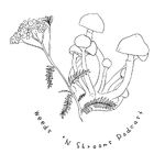 Weeds 'N Shrooms