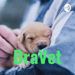Dra Vet