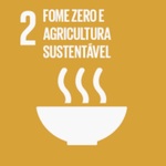 Fome zero e agricultura sustentável 