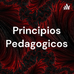 Principios Pedagogicos