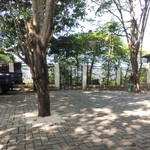 Tempat Berteduhh terdapat banyak pepohonan rindang dan tinggi