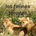los felinos feroces