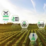 Irrigação de Precisão