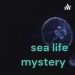 sea life mystery 