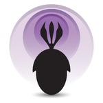 Palaeocast
